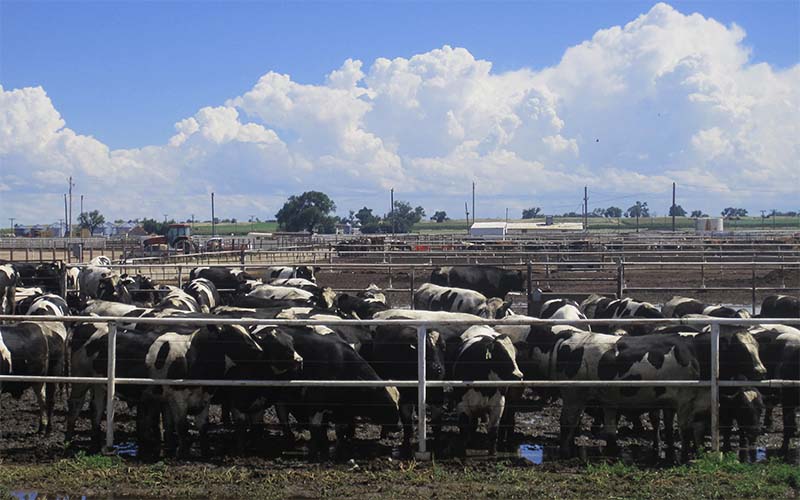 Fleet Agro